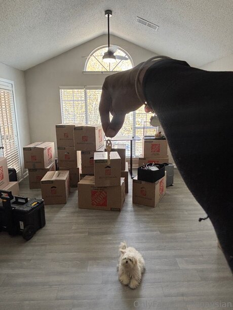 ティーン DP オンリーファンズ アダルト 写真