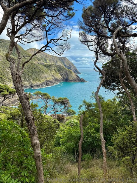 Breasts In Nature Free ヌードのポルノスター 写真