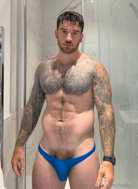 オイルを塗った黒檀のオンリーファンズ 美しい ギャラリー