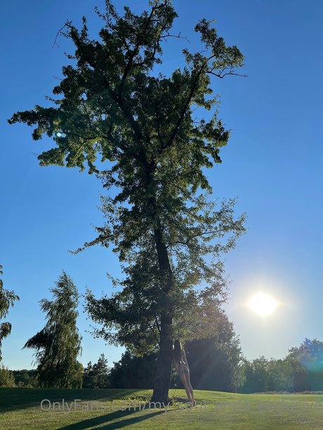 _Anda Kiev 高品質のスター 画像