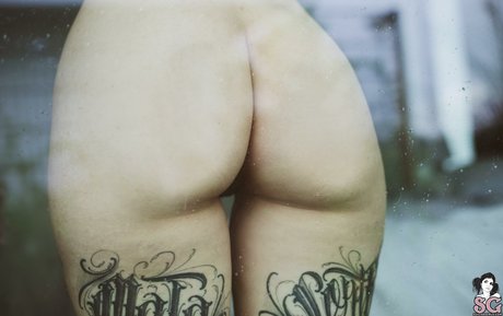 Zzef 完璧な女優 写真