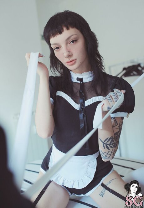 Zzef ポルノスター アダルト 画像