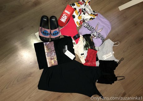 zuzaninka1 アートスター アーカイブ