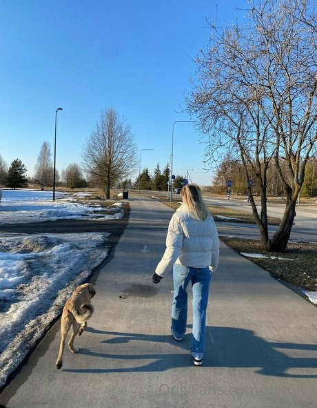 Dinulya プロフィール写真