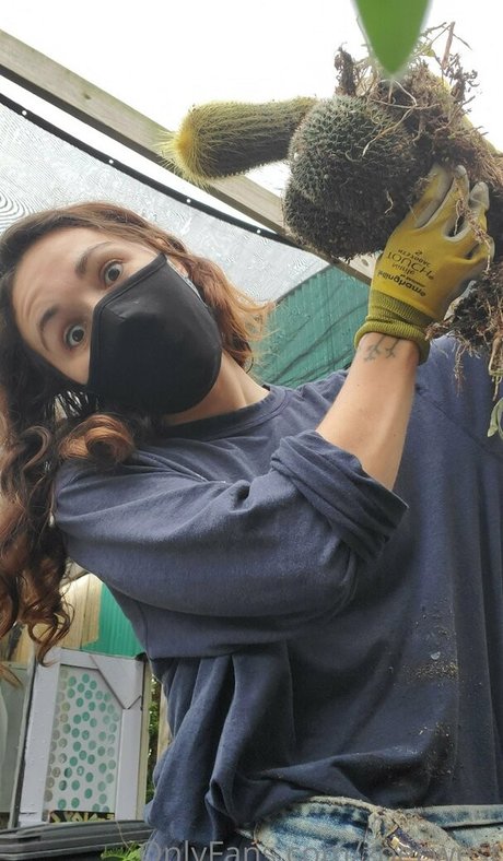 モンスターコックオンリーファンズ 無料裸 画像