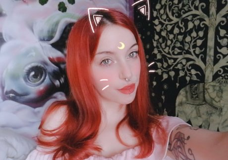 euforia ポルノスター xxx 画像