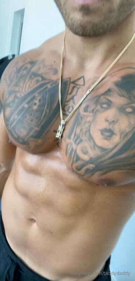 Taddydaddy 素敵なスター 画像