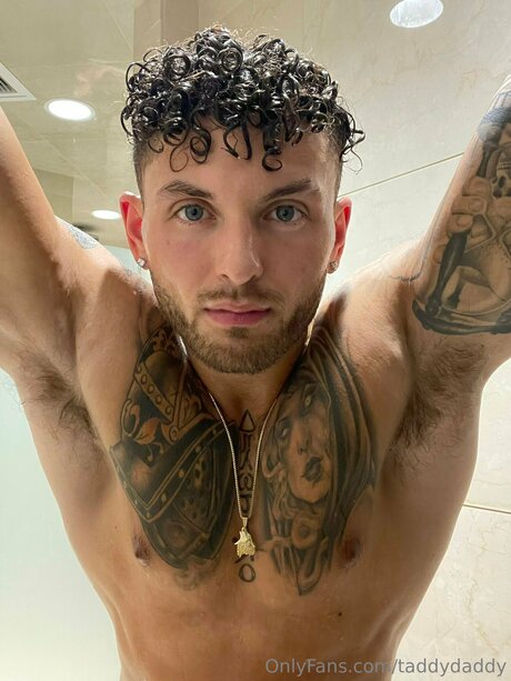 Taddydaddy 高品質モデル 写真