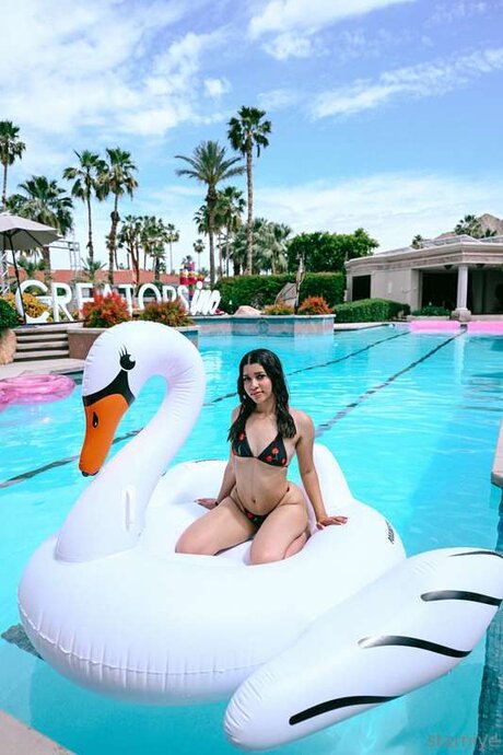 Starniye 高品質モデル 写真