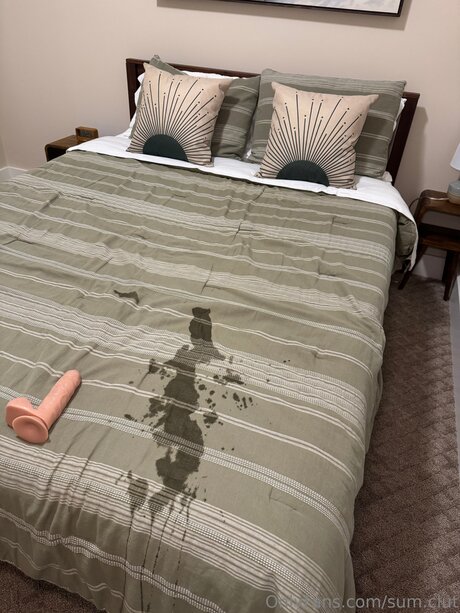 Sum Clut 限定モデル 写真