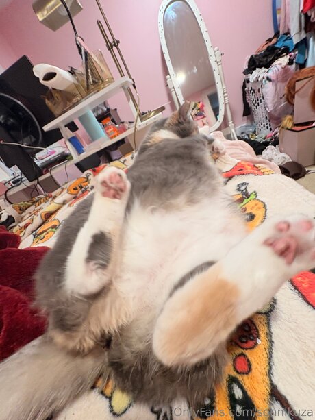 デカ尻ティーンオンリーファンズ 素敵 ギャラリー