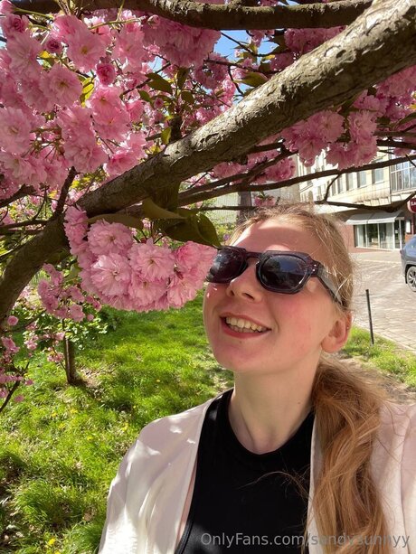 Sandysunnyy ポルノスター 写真