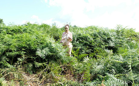 annemarieontour ポルノスター アート 写真