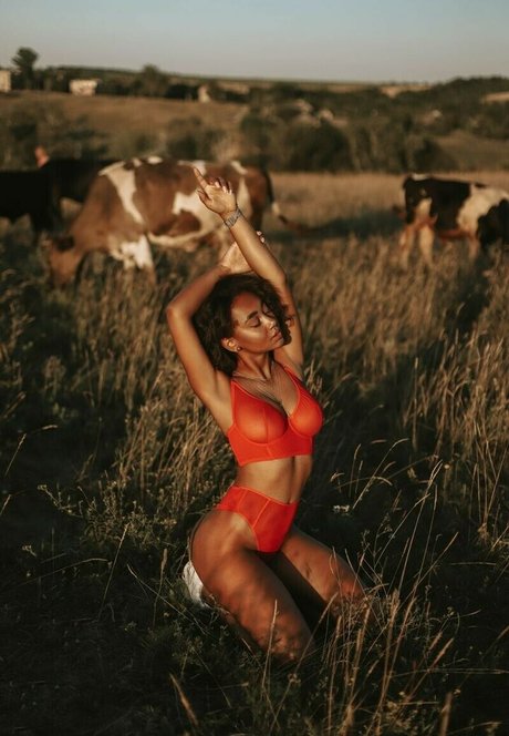 ゲイのチンポオンリーファンズ HD アーカイブ