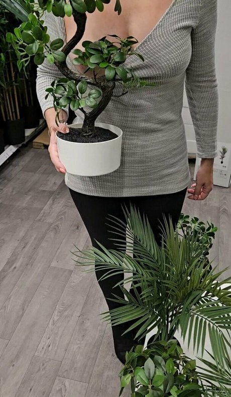 scarlett johnson24 美しい女優 画像