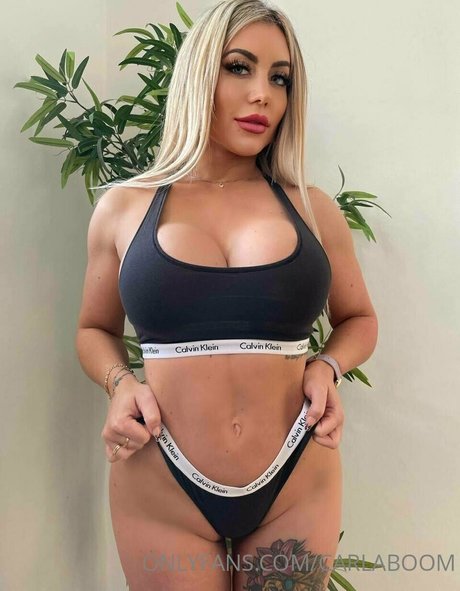 セーリングオンリーファンズ トップ 写真