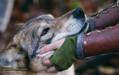 アマチュアセックスオンリーファンズ 素敵 ギャラリー