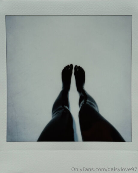 DaisyLove97 限定スター 写真