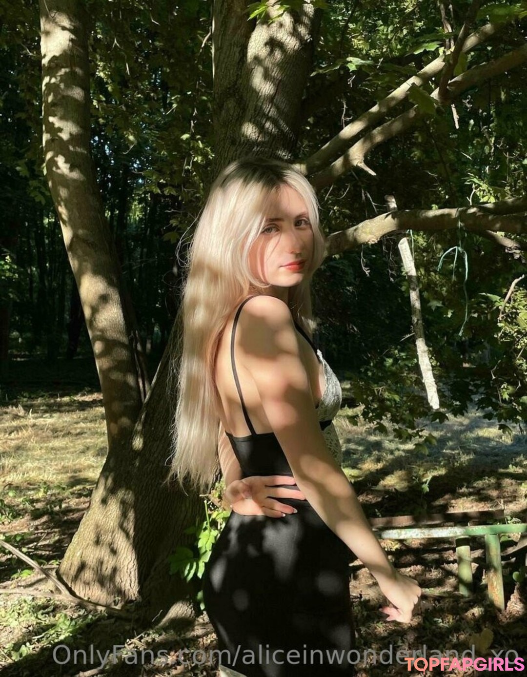 aliceinwonderland xo 美しいスター 画像