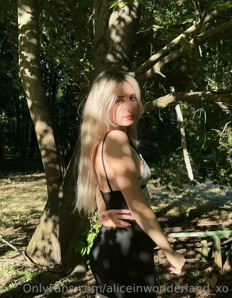 aliceinwonderland xo 美しいスター 画像