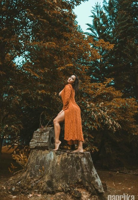 戦利品オンリーファンズ HD ギャラリー