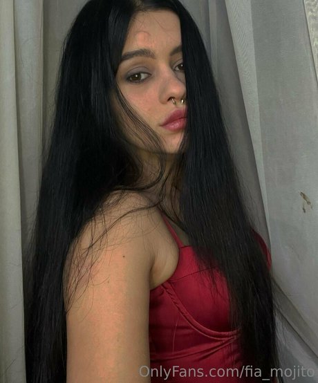 fia mojito 無料モデル 画像