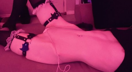 krypt cat 裸のスター 写真