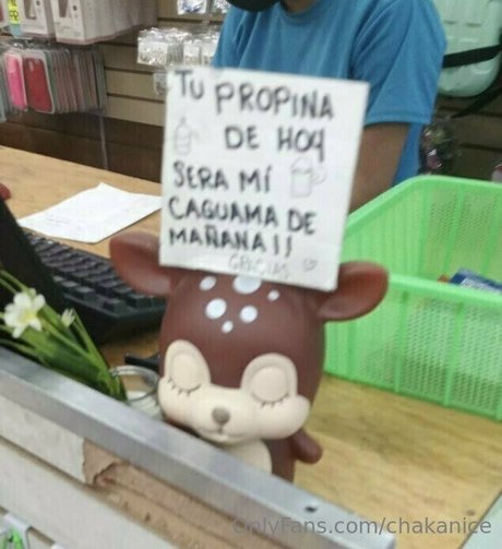 chakanice 最高のモデル 写真