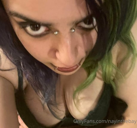 nayinthebay HDモデル 写真