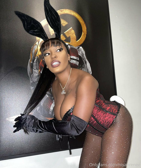 エクストリームオンリーファン 美しいヌード 画像