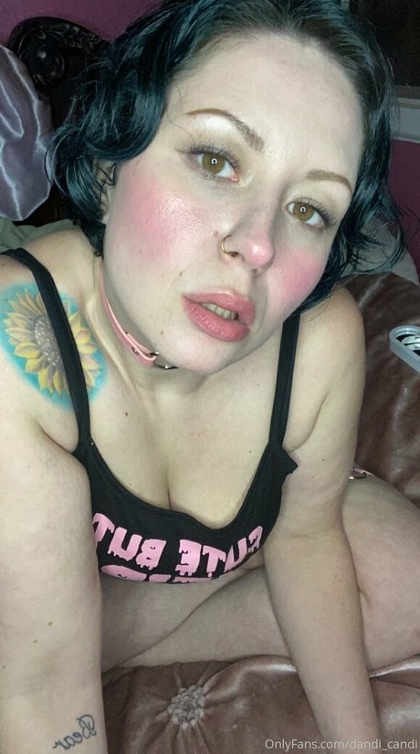 dandi candi 美しいモデル 写真