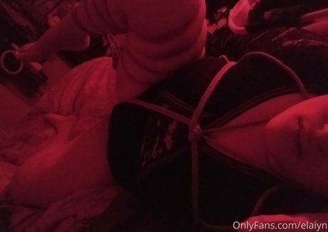 evelynmusefree ポルノスター 無料 画像