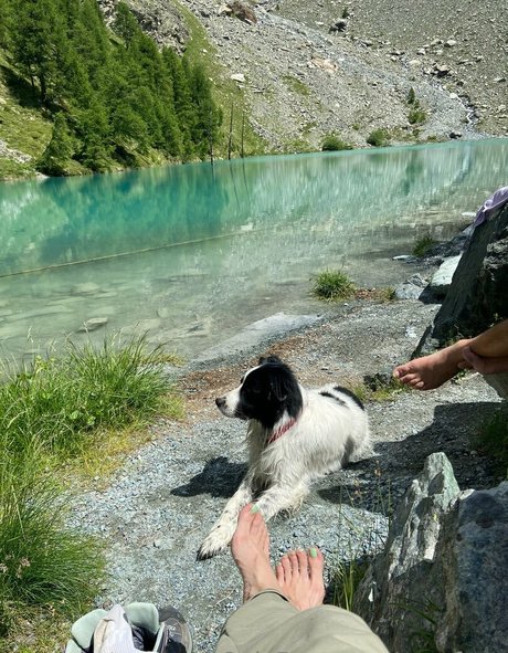 aryafaye セクシー女優 アーカイブ