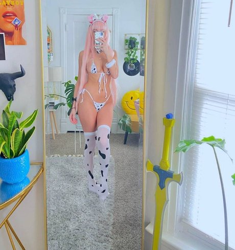 ckalifornia 美しいスター 写真