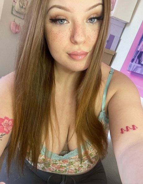 タンオンリーファン HD ギャラリー