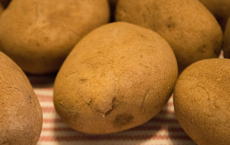 lucylarue HDモデル 写真