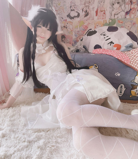 Xidaidai 最高のスター 写真