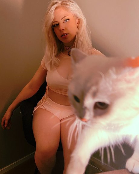 オンリーファンズの内部 ポルノ アーカイブ