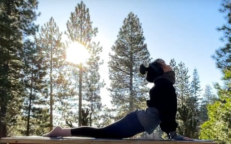 Bubblicorn 素敵なポルノスター 画像