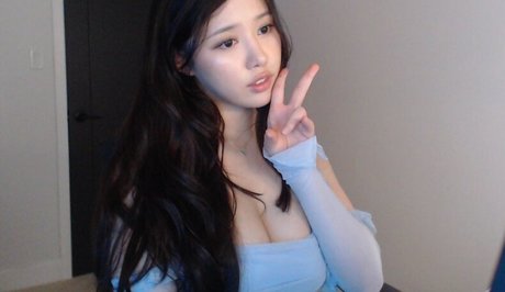 Ploo 美しいスター ギャラリー