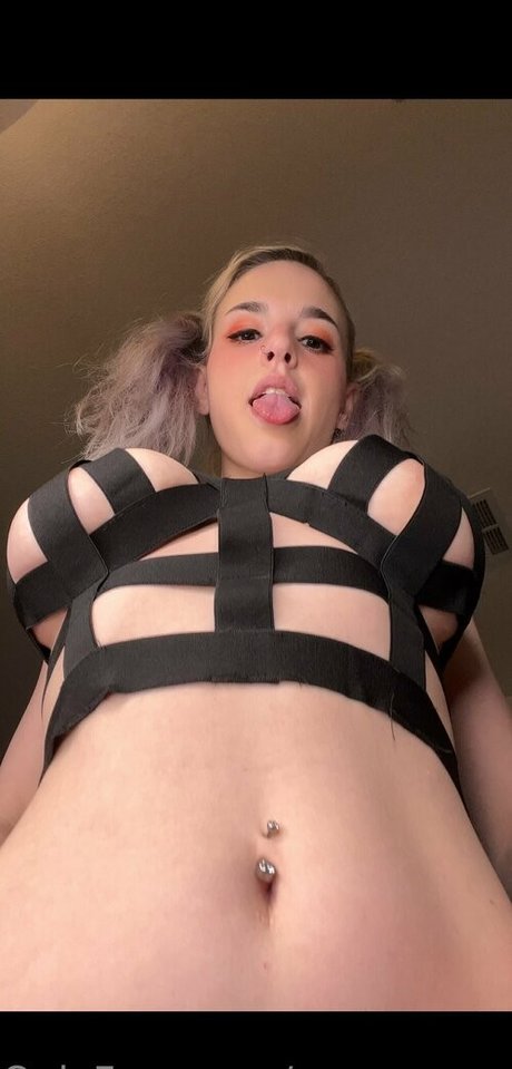 アラブのゲイオンリーファンズ HD 写真