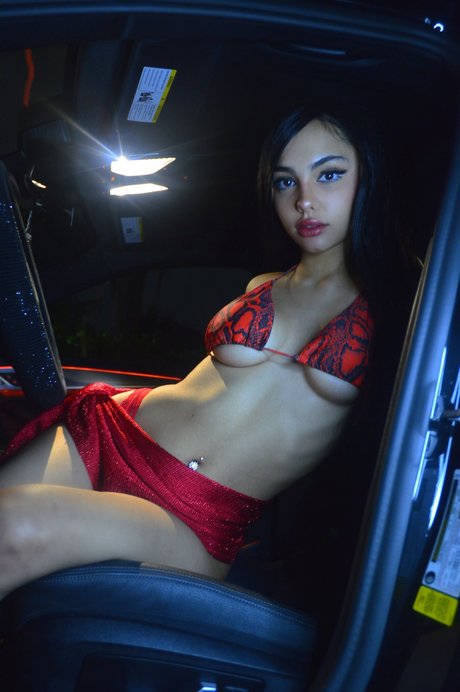 プッシー尻オンリーファンズ セクシー 写真