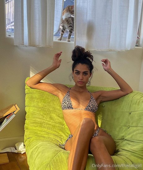 Undercover freak 高品質のスター 写真