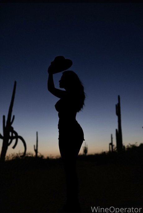 ブルネットのPOV オンリーファンズ 裸 画像