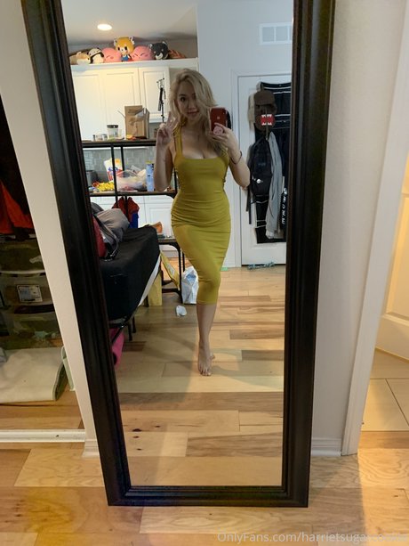 Harriet Sugarcookie ポルノモデル 画像