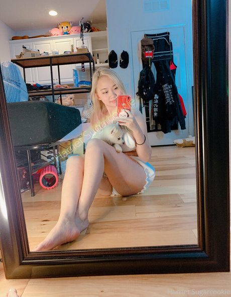 Harriet Sugarcookie ポルノスター セックス 画像