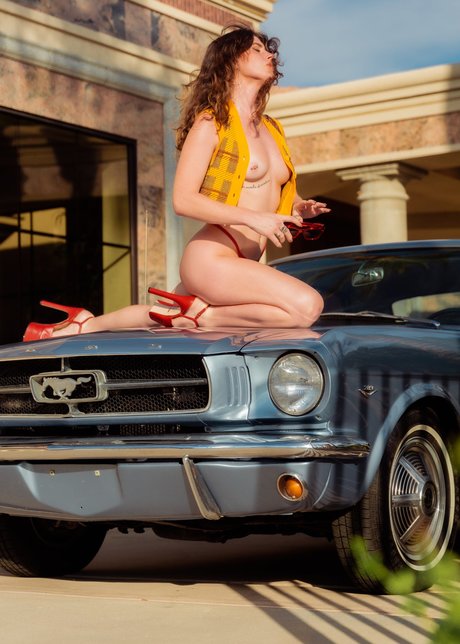 Keep Chambers スター 画像