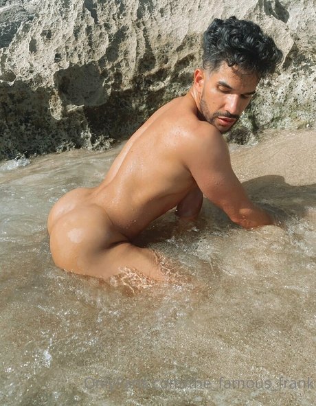 the famous frank ヌードスター 画像