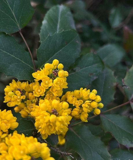 ドイツのアマチュアオンリーファンズ セクシーxxx 写真