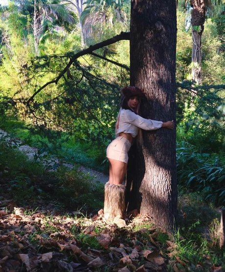 Pasabist スター 写真